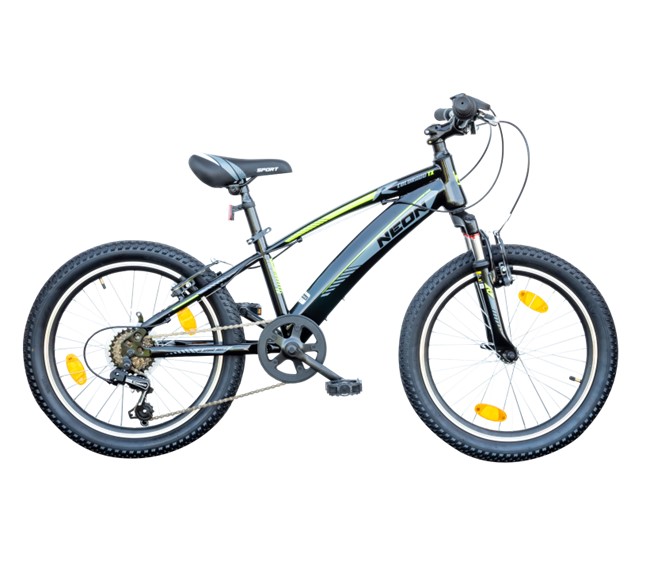 MTB Sonic Boy 20 Zoll 6 Gang
