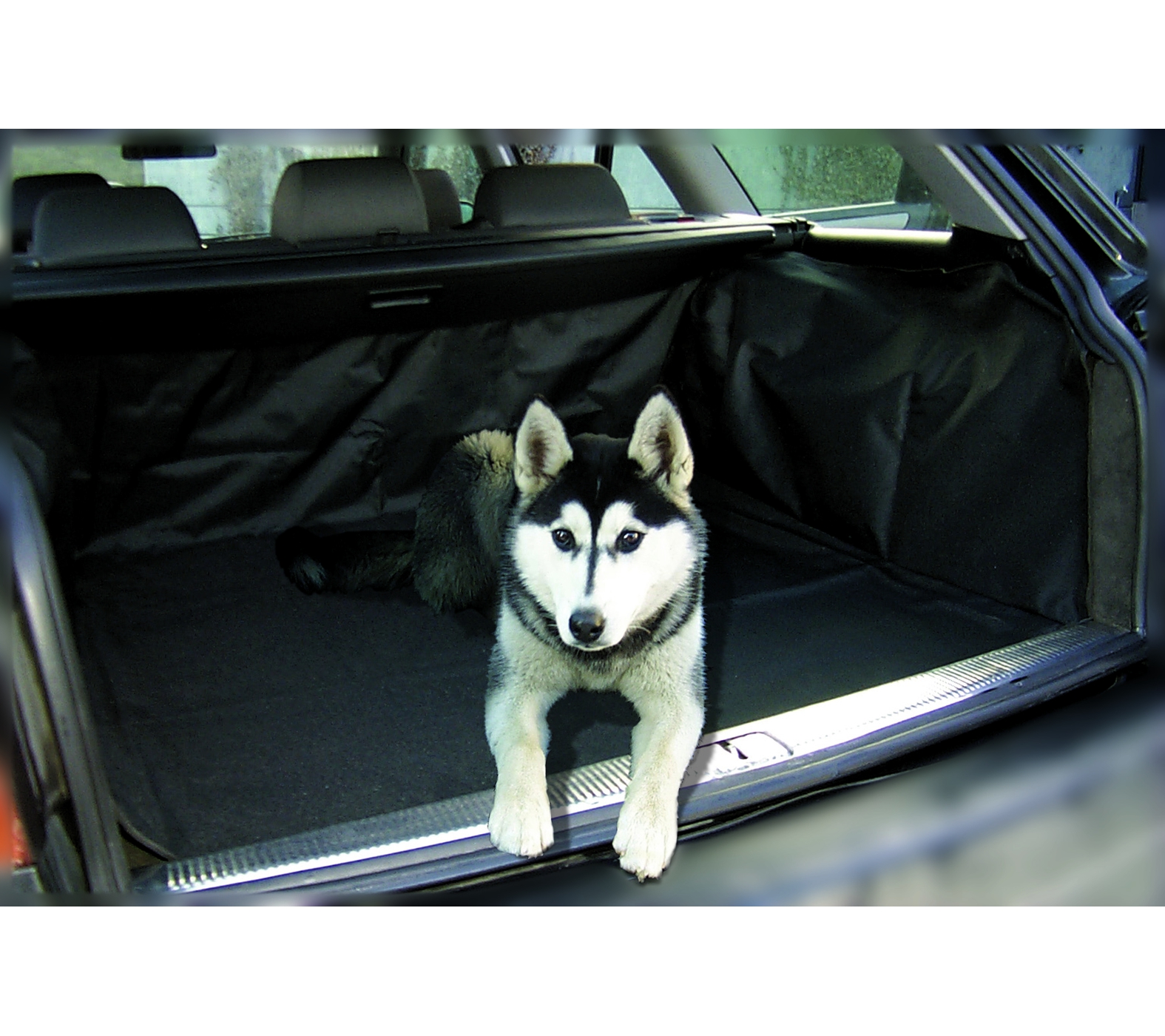 WALSER Hundedecke Cäsar