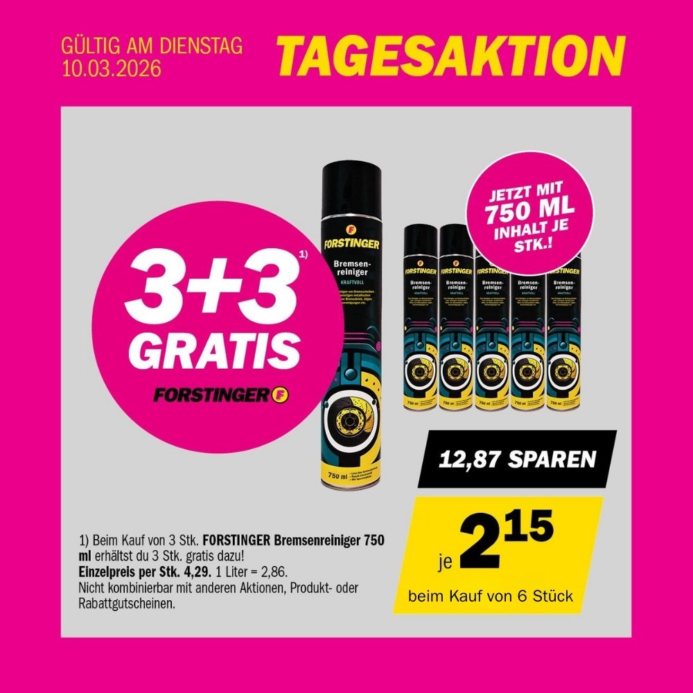 FORSTINGER Bremsenreiniger 750 ml