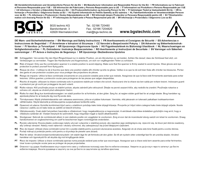 BGS TECHNIC Maul-Ringschlüssel 10mm 15°