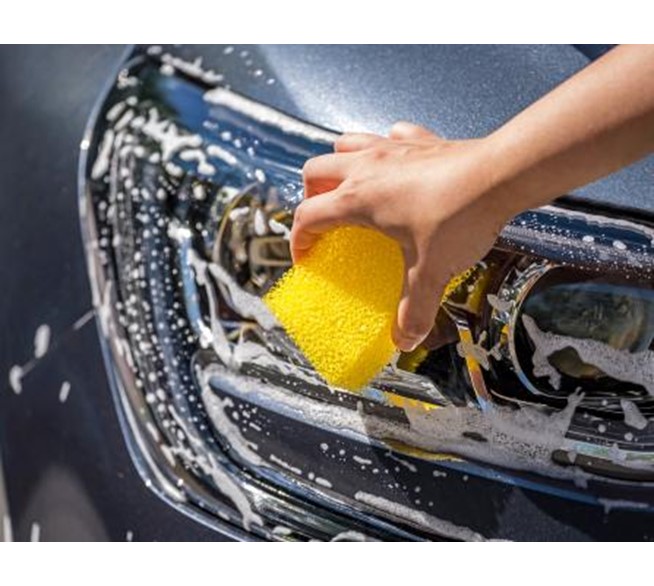 apa-insektenschwamm-10932704-2