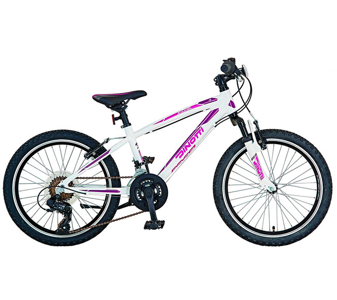 DINOTTI Jugendrad X1019L 20 Zoll 12 Gang