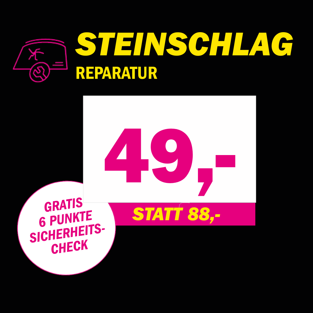 Aktion Steinschlagreparatur 49 Euro