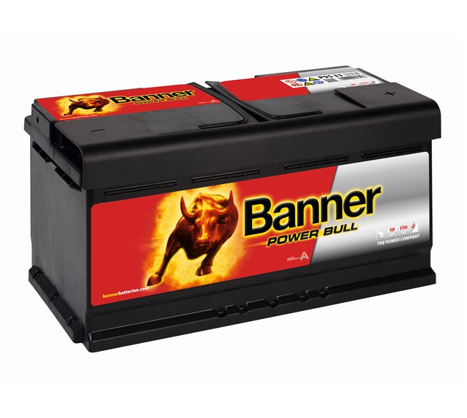 BANNER Power Bull P95 33