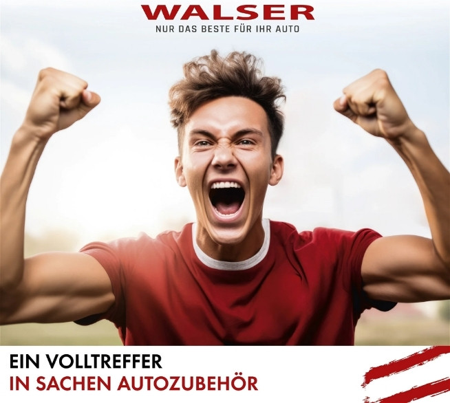 WALSER_Sonnenschutz_Frontscheibe_130x60cm_21167140-7