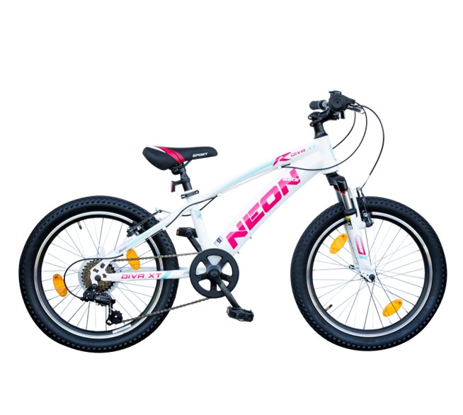 MTB Sonic Girl 20 Zoll 6 Gang