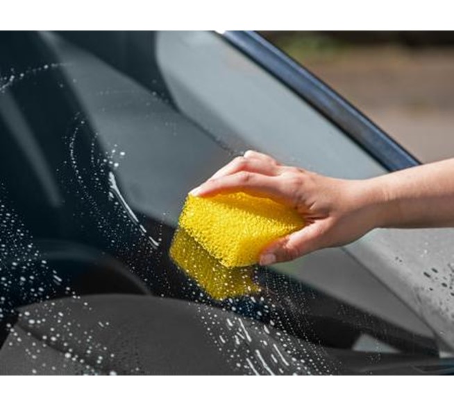 apa-insektenschwamm-10932704-3