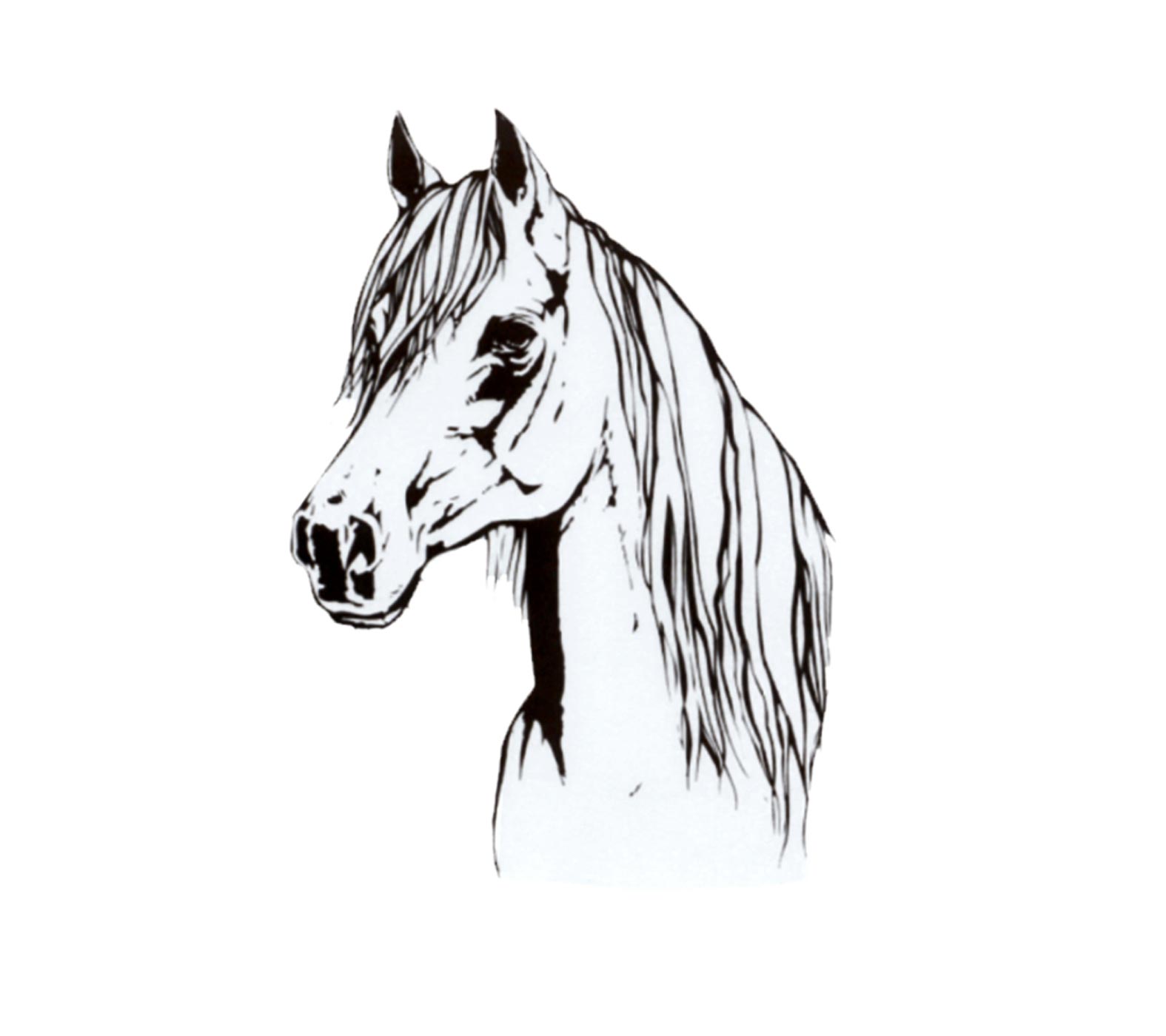 SCHUETZ Aufkleber Pferdekopf