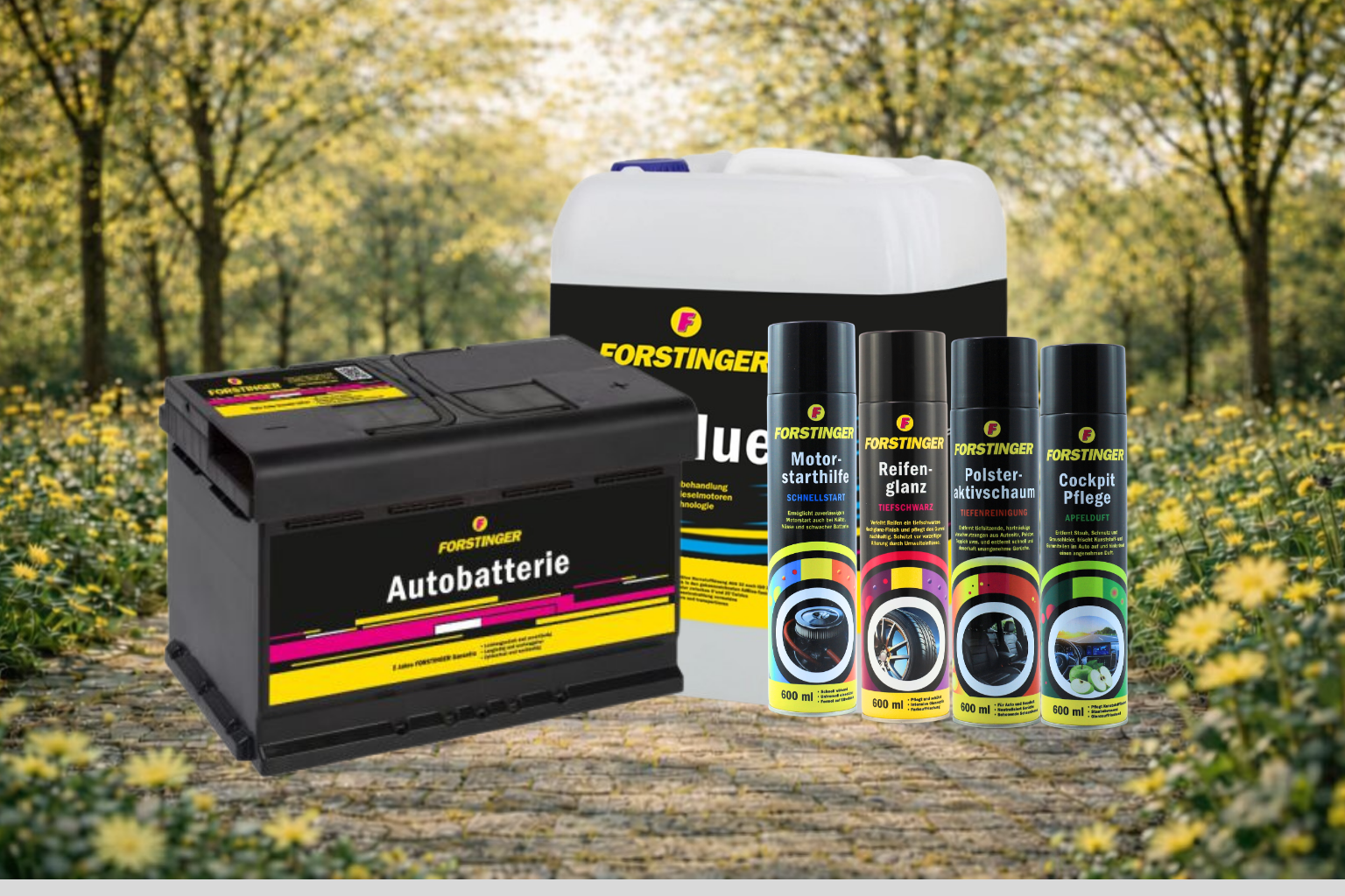 Vom Profi für dein Fahrzeug