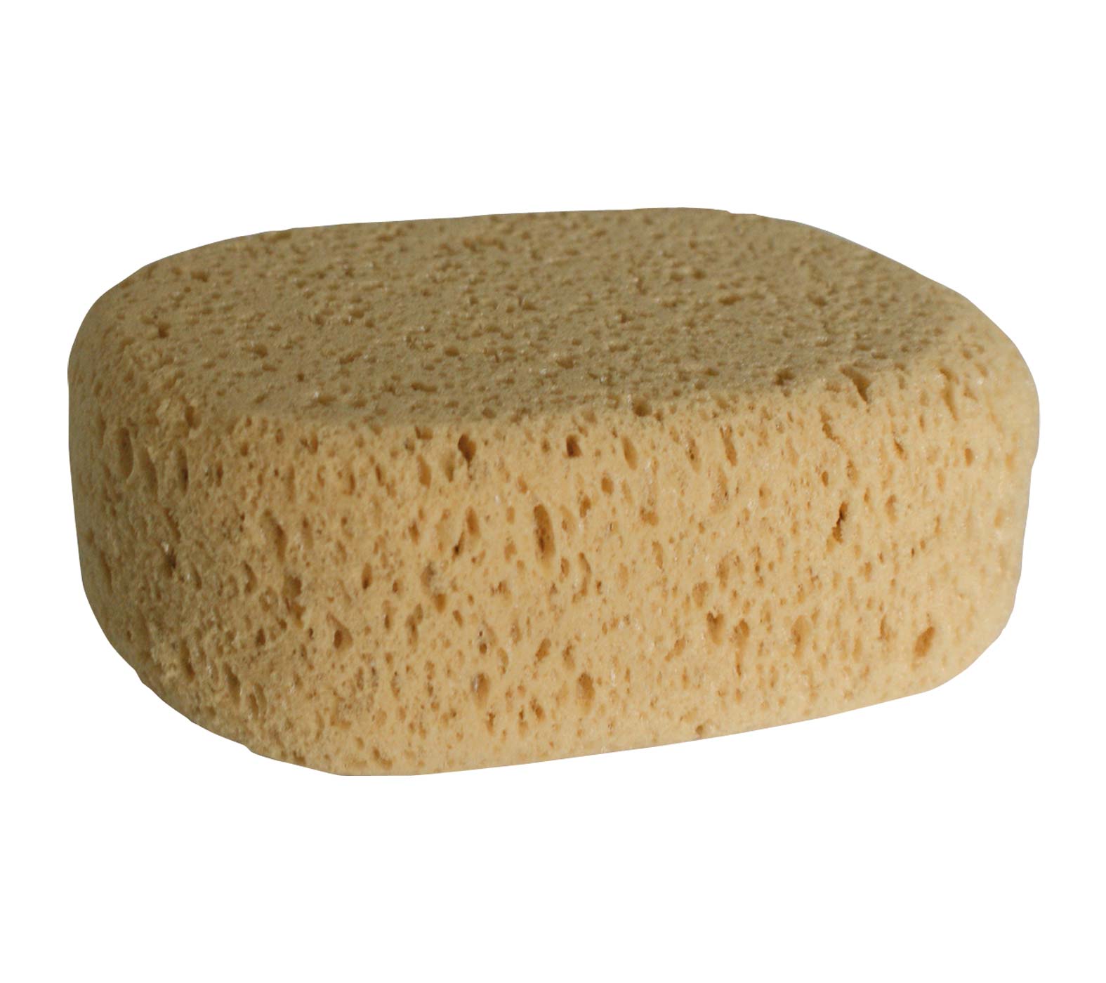 apa-natura-autoschwamm-10932827 APA Natura-Autoschwamm