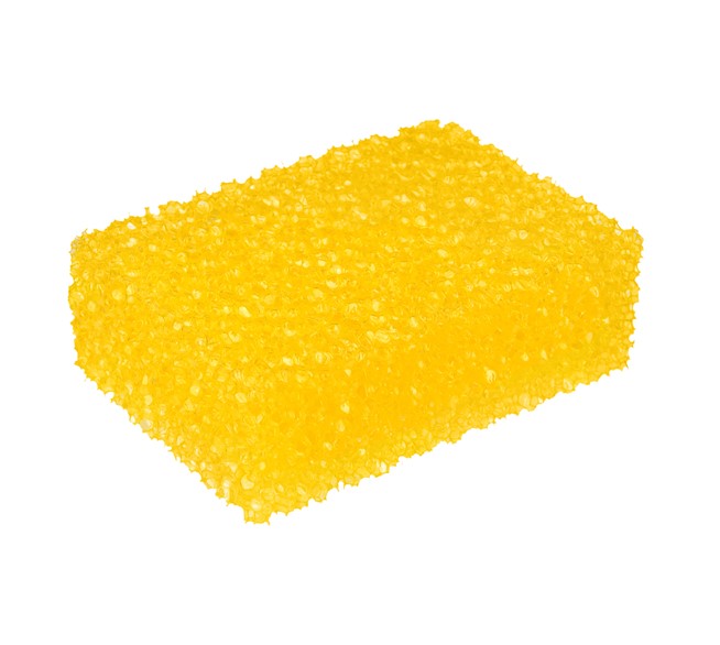 apa-insekten-schwamm-10932704